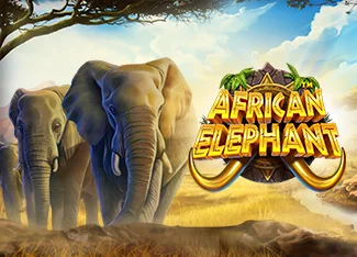 African Elephant Image