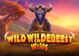 Wild Wildebeest Wins Image