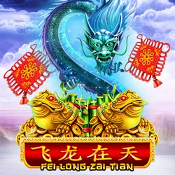 Fei Long Zai Tian Image