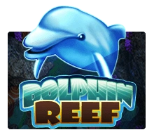 Dolphin Reef Image