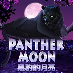 Panther Moon Image