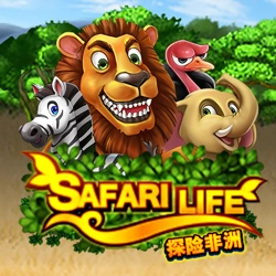 Safari Life Image