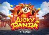 Lucky Panda Image