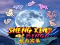 Sheng Xiao Bingo